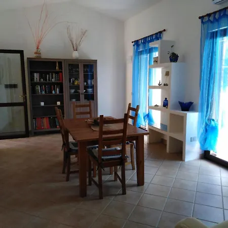 Panoramica Immersa Nel *