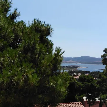 Panoramica Immersa Nel