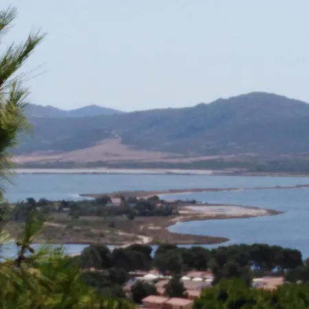 Panoramica Immersa Nel Appartamento *