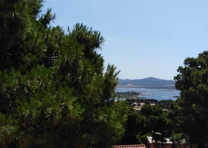 Panoramica Immersa Nel